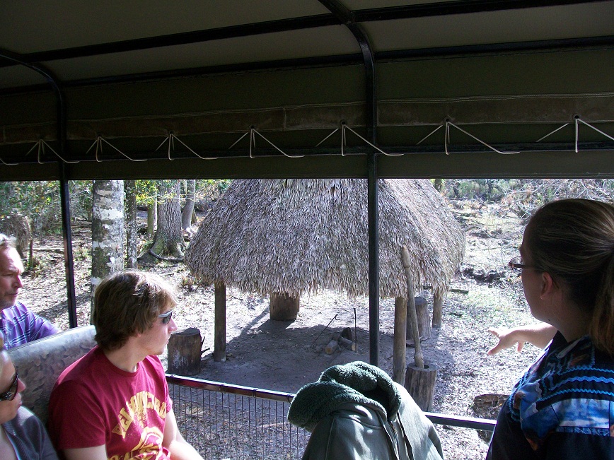 picture of a Seminole hut and firepit